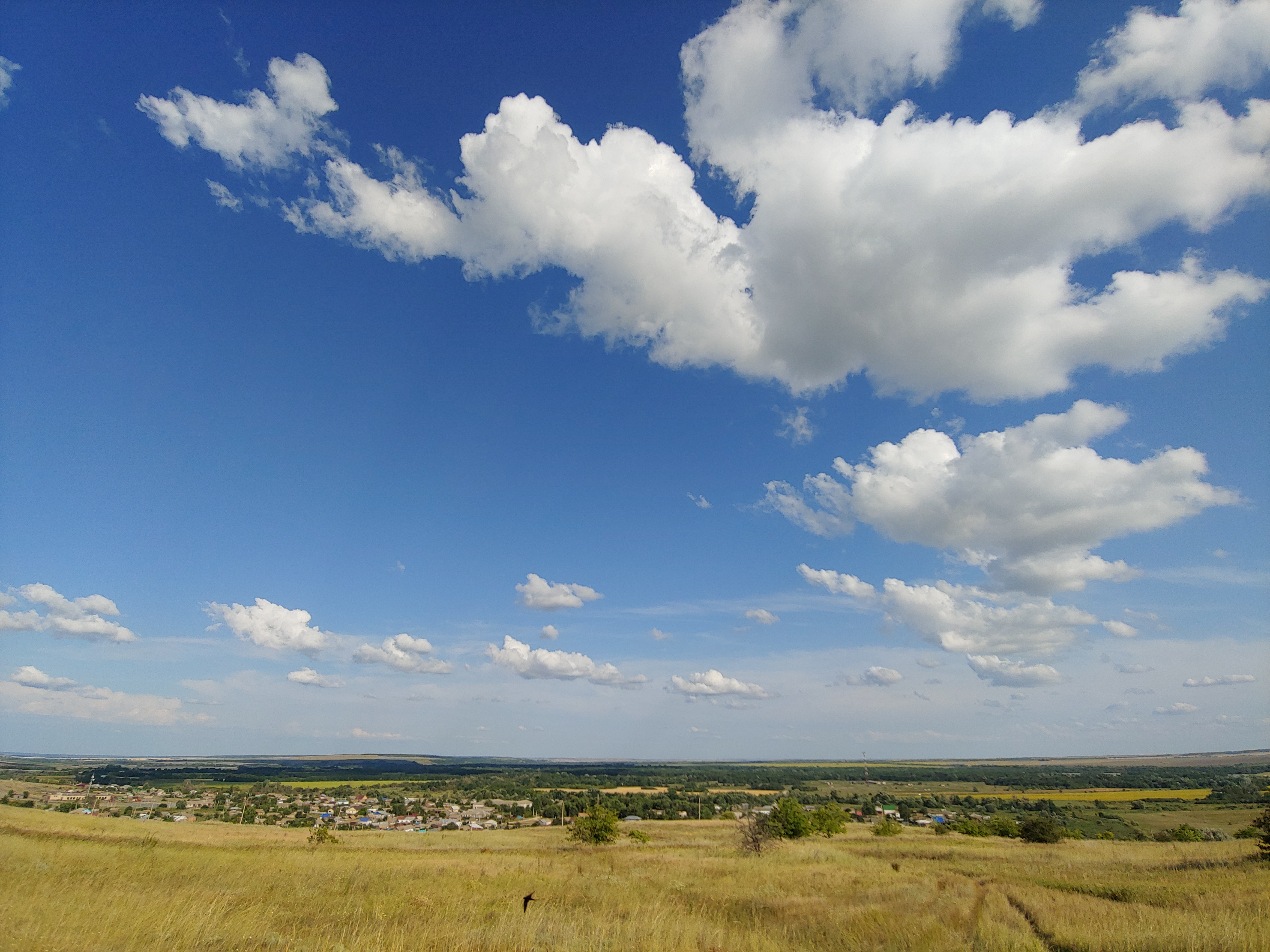 село Большая Дмитриевка.