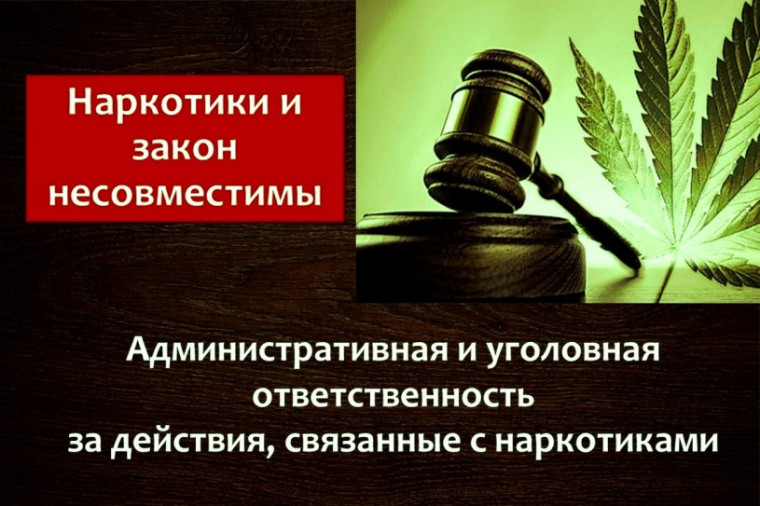 Памятка об уголовной ответственности за совершение преступлений в сфере незаконного оборота наркотиков.. Памятка об уголовной ответственности за совершение преступлений в сфере незаконного оборота наркотиков..